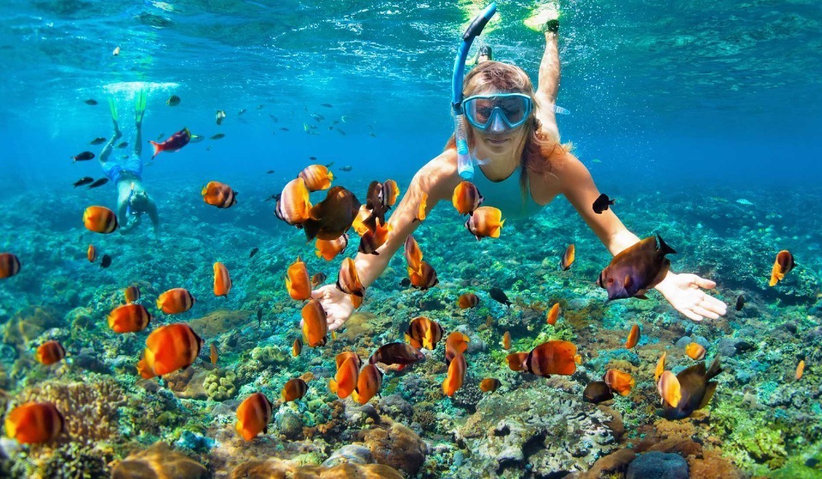 Mujer haciendo snorkel junto a peces.